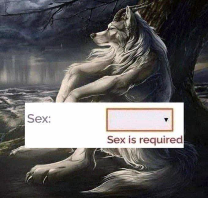 Adaś UwU